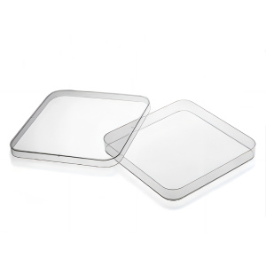 Square Petri Dish, 100 x 100mm without grid