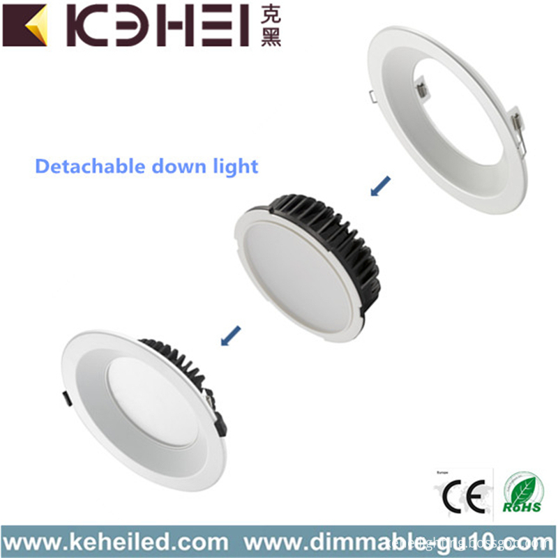 8 inch color changeable downlight