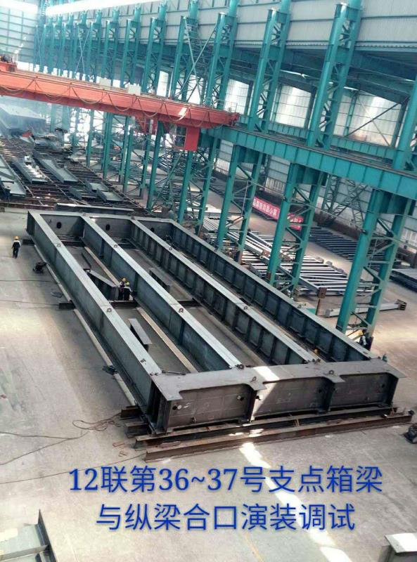 Steel Structure  Bridge