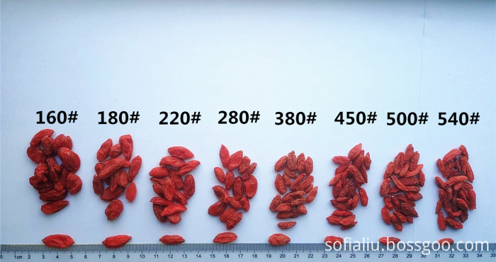 Goji Size Goji Size