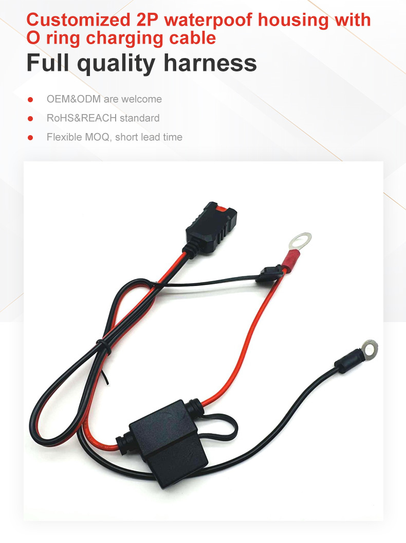 Auto Electrical Wiring Harness Auto Electrical Wiring Harness