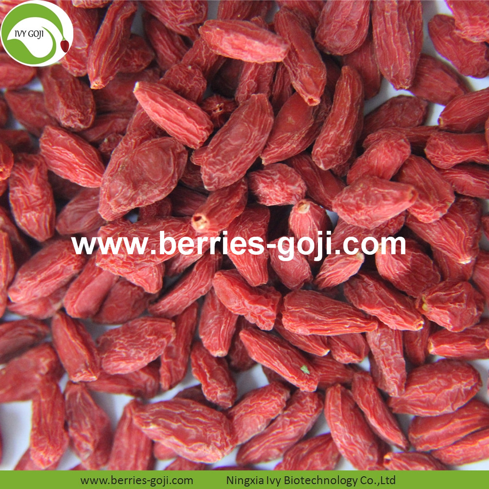 Goji Berries Goji Berries