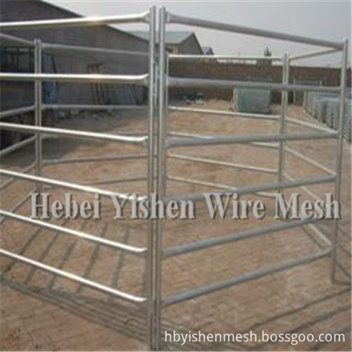 horse fence5__