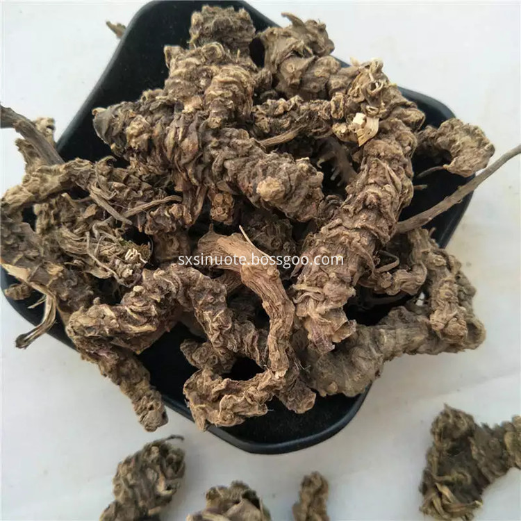 Valeriana Officinalis L Valeriana Officinalis L