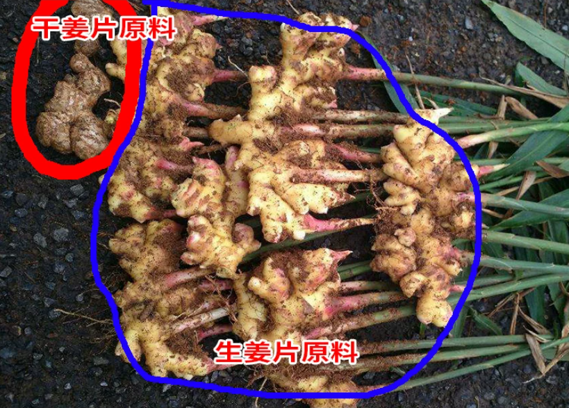 06205 06205