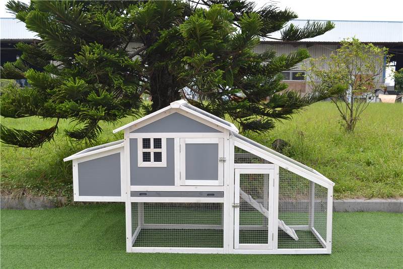 튼튼한 암탉 집 durable hen house