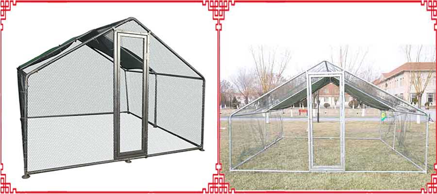 닭 사육장 chicken kennels