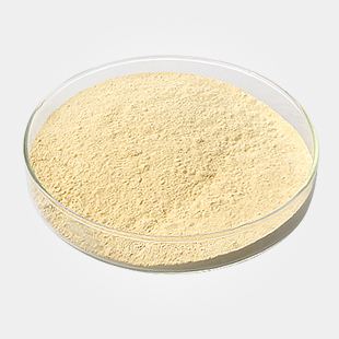 Xanthan Gum 11138 66 2 2