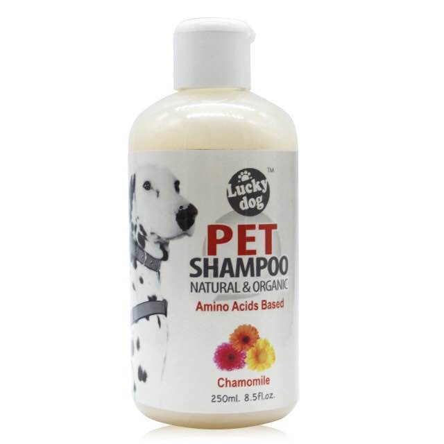 Champô para animais de estimação Pet Shampoo