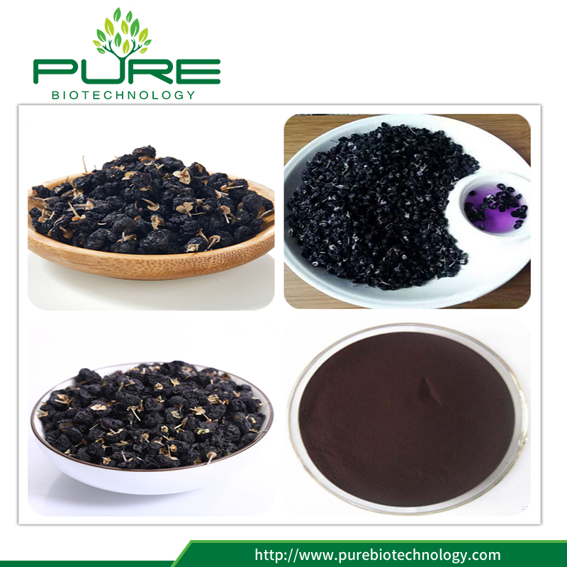 ผงสกัดจากธรรมชาติ Goji Berry แบบธรรมชาติ Natural Dried Black Goji Berry Extract Powder