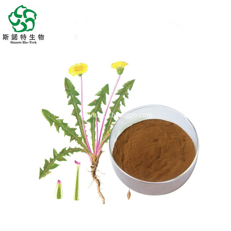Dandelion Leaf And Flower Extract Dandelion Leaf And Flower Extract