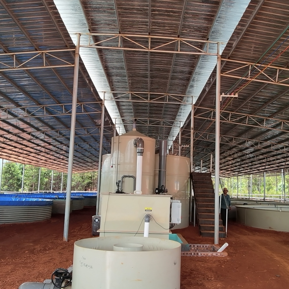 Single Greenhouse For Poultry Breeding Single Greenhouse For Poultry Breeding