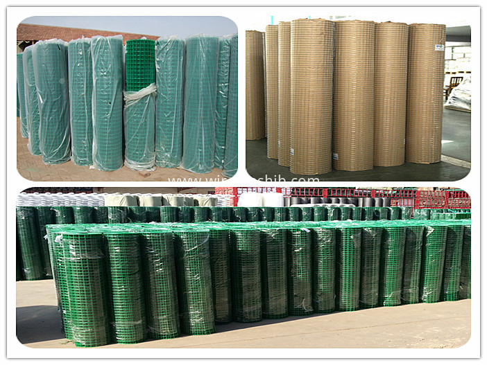 Welded wire mesh