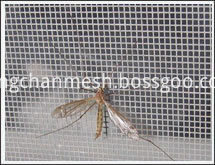 Anti Insect Screen