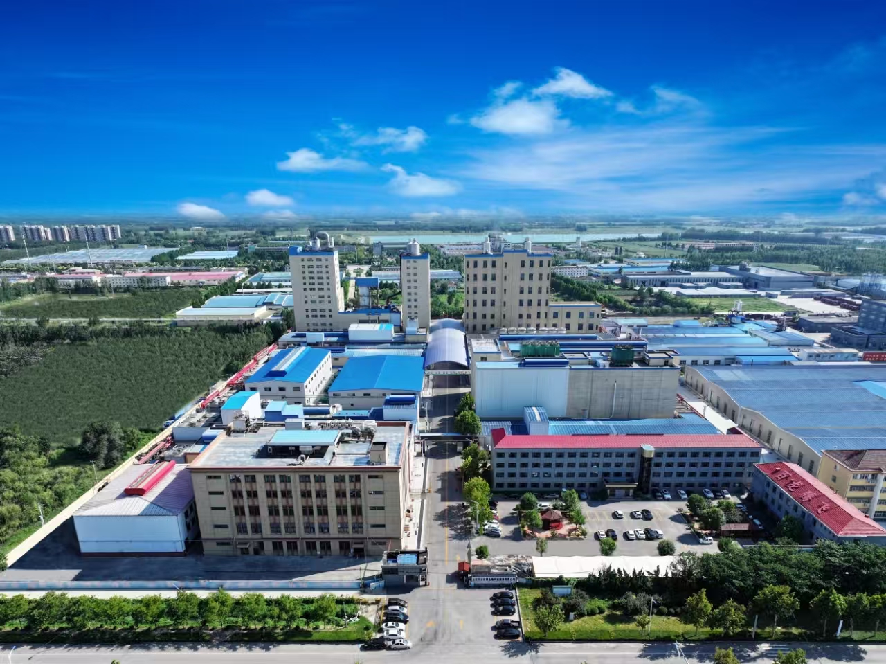 bulk allulose production factory for beverages bulk allulose production factory for beverages