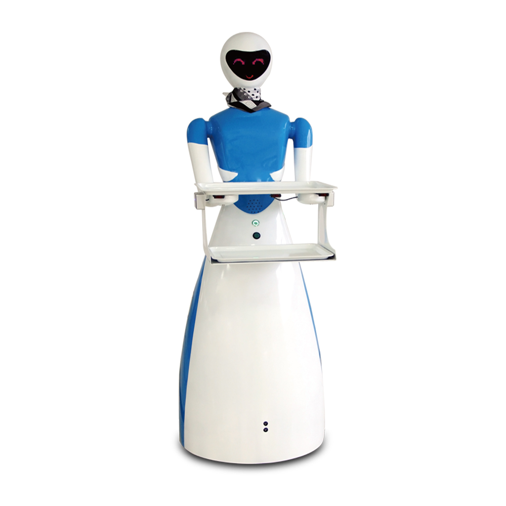 Goddess waiter robot