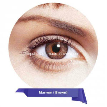 Fragante Críticamente Mensajero China Prescripción no Freshlook lentes lentes de contacto color para uso cosmético Mix 3 colores Colorblends anuales Fabricantes Fragante Críticamente Mensajero China Prescripción no Freshlook lentes lentes de contacto color para uso cosmético Mix 3 colores Colorblends anuales Fabricantes