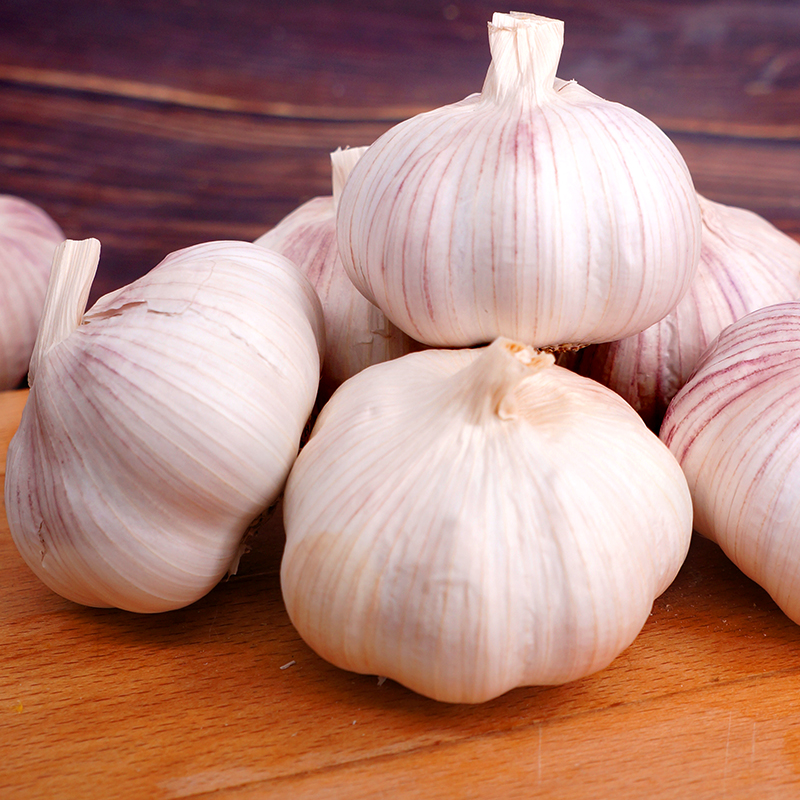 garlic garlic