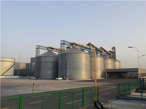 Essbare Sojabohnenmehl-Schälen Edible Soybean Meal Dehulling