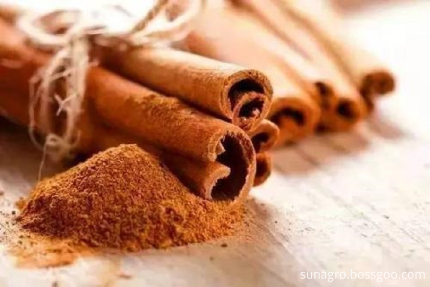 Extract Of Cinnamon Powder With High Nutritional Value