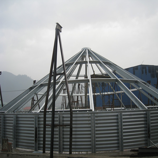 silo roof silo roof