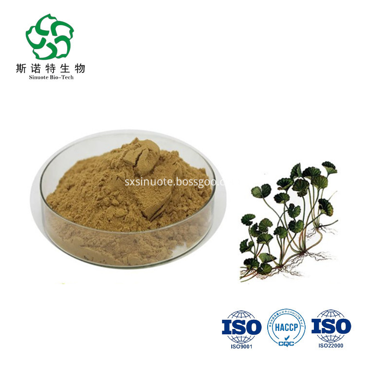 Hydrocotyle Asiatica Extract Hydrocotyle Asiatica Extract