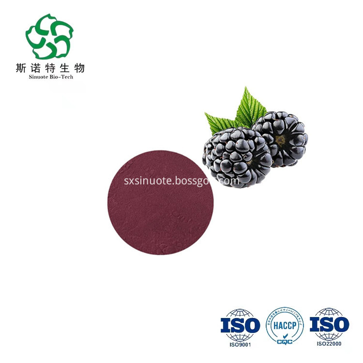 Blackberry Fruit Powder Blackberry Fruit Powder