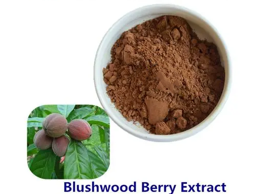 Blushwood Berry Extract Blushwood Berry Extract