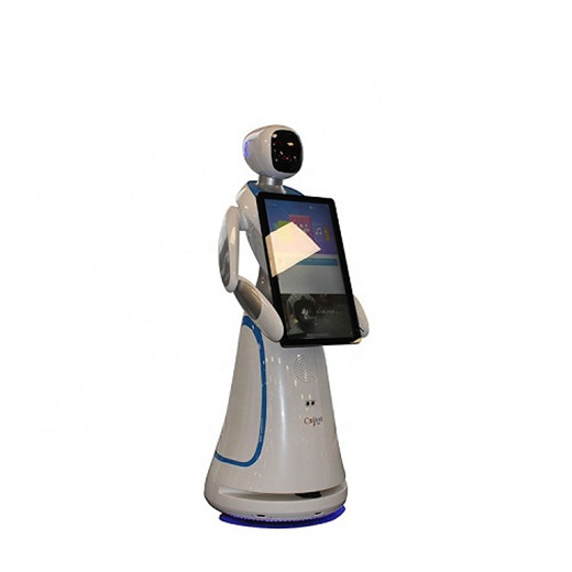 Hotel Interactive Talking Robots