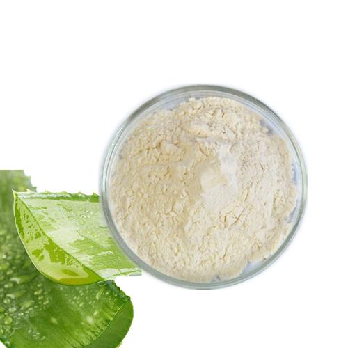 Aloe Vera Leaf Powder Aloe Vera Leaf Powder