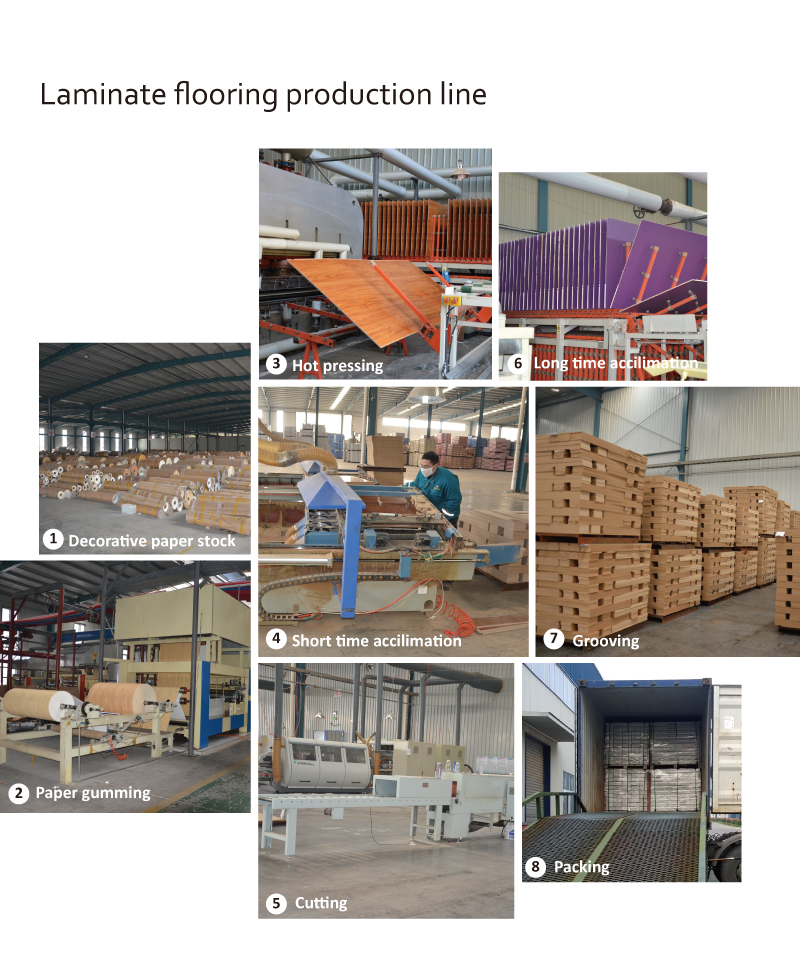 laminat podłogowy wood floor laminate