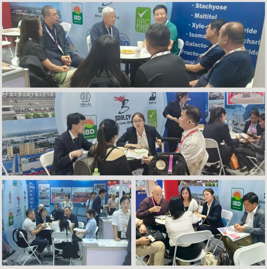 exhibition exhibition