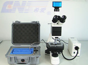 laser scanning microscope