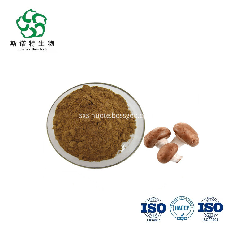 Shiitake Extract Shiitake Extract