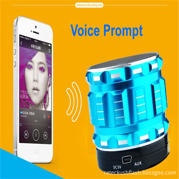 Bluetooth Speaker