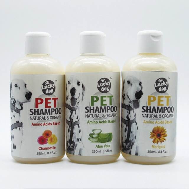 Champô para animais de estimação Pet Shampoo