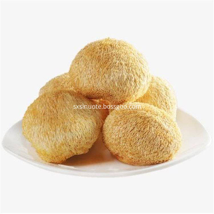 Lion Mane Extract Lion Mane Extract