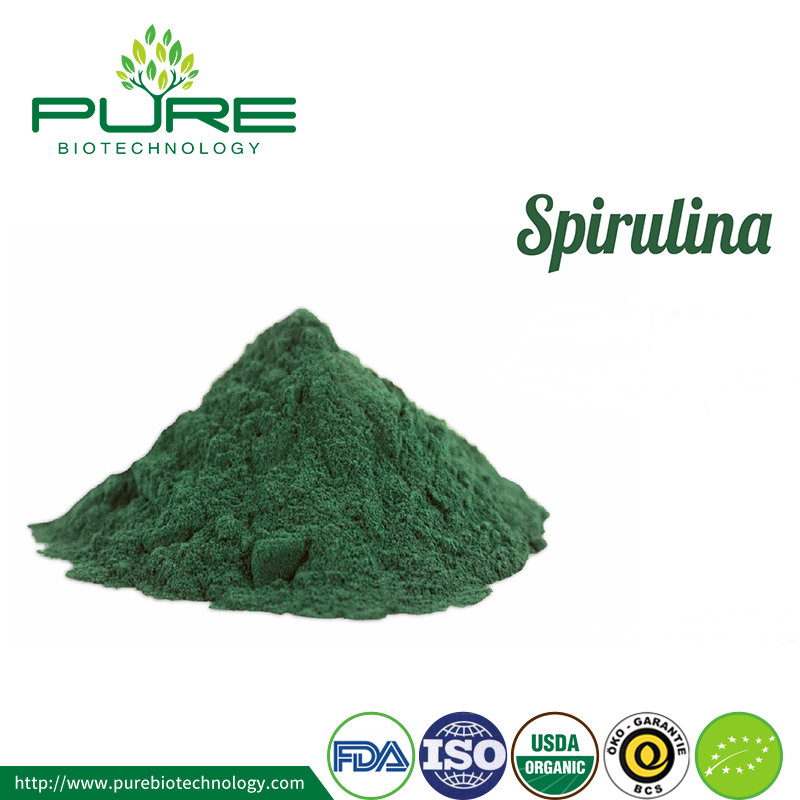 Raw Fresh Spirulina Powder Organic Raw Fresh Spirulina Powder Organic