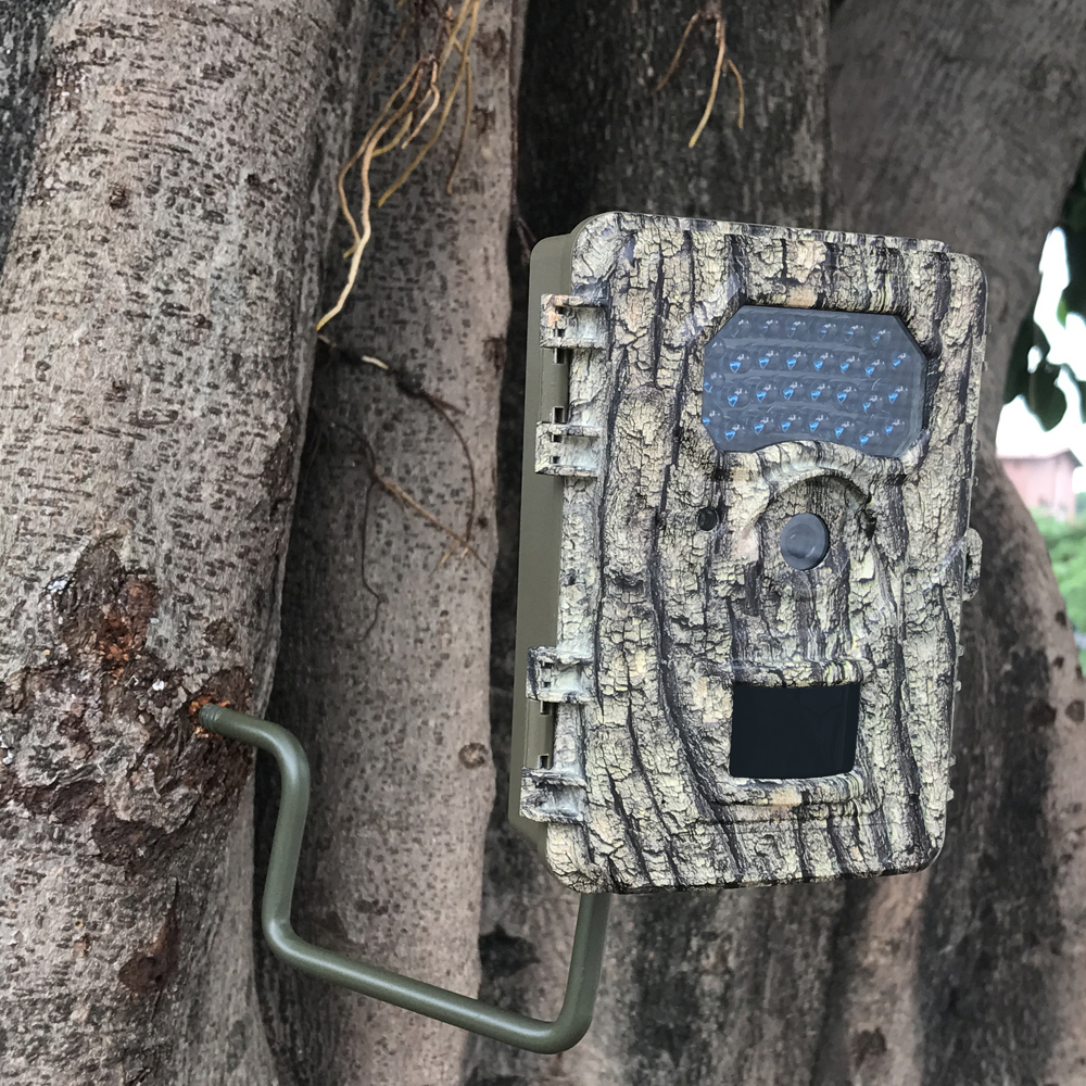 Wildlife Research Trap Camera