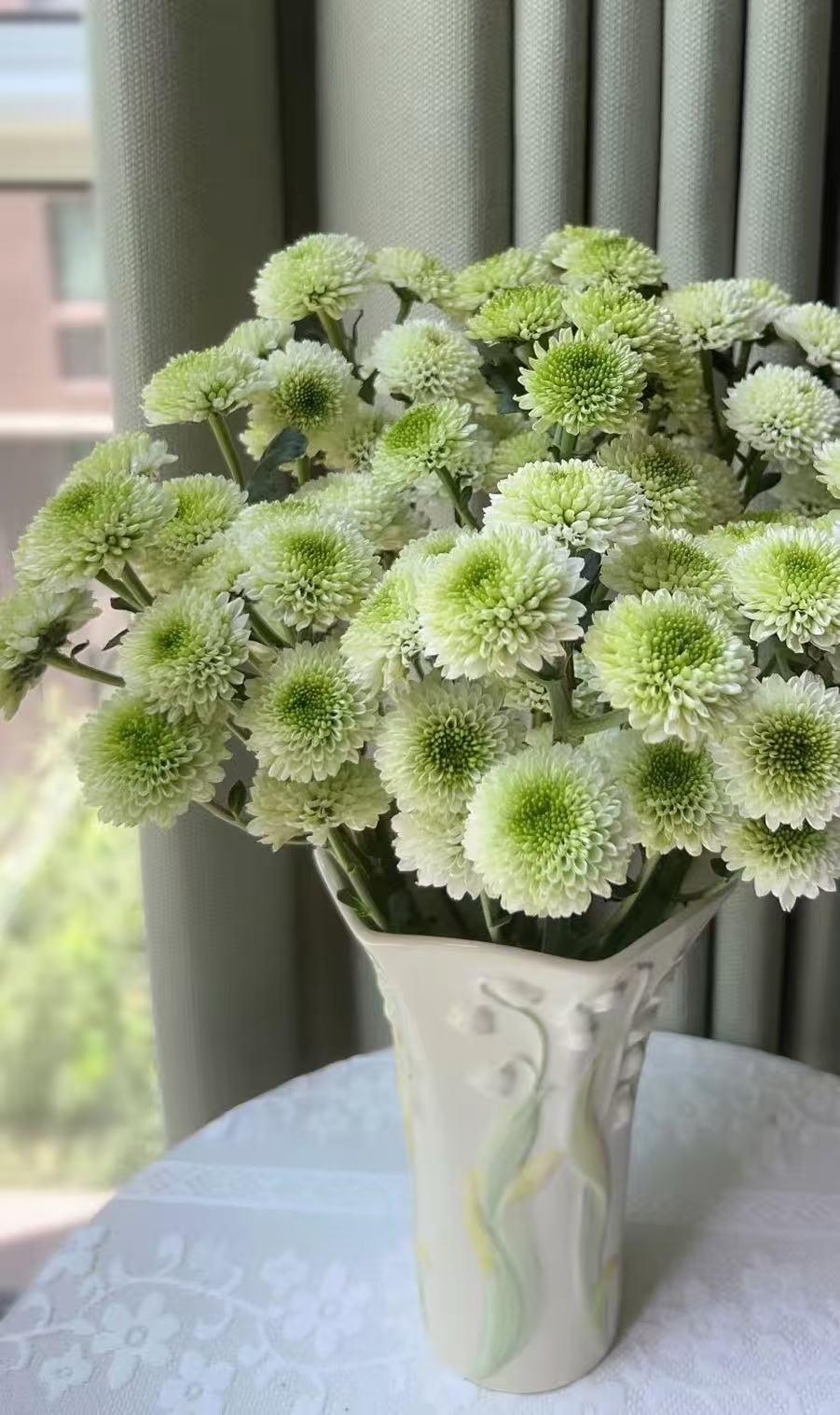 Lantern spray white chrysanthemum Lantern spray white chrysanthemum
