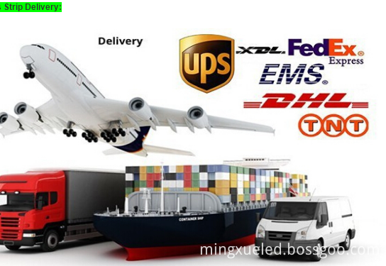 3cb494f1999fe4762c7309b7d7 3cb494f1999fe4762c7309b7d7