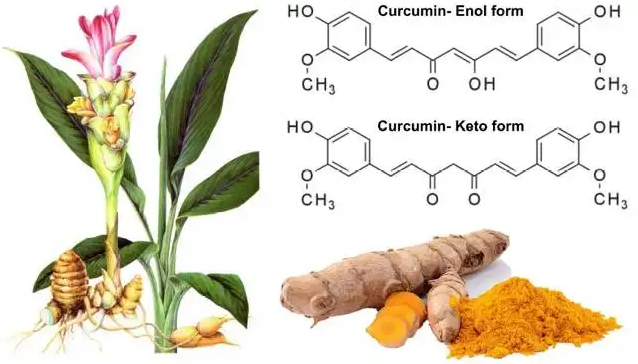 Curcumin Powder 6 Curcumin Powder 6