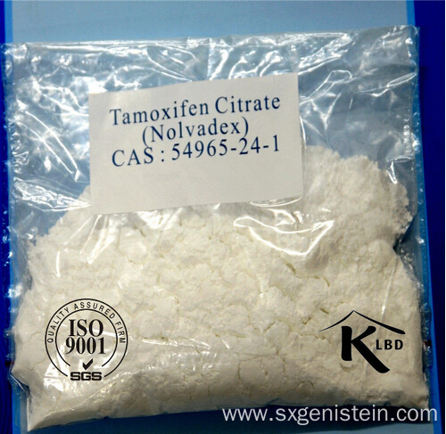 Research chemical supplier nolvadex bodybuilding Research chemical supplier nolvadex bodybuilding