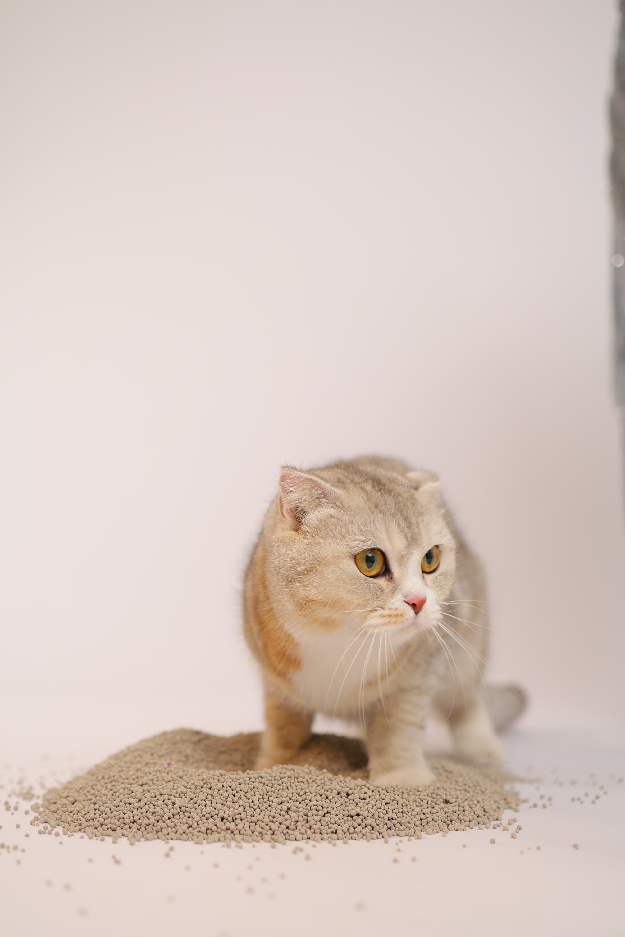 Mixed Size Lemon Scented Bentonite Cat Litter Mixed Size Lemon Scented Bentonite Cat Litter