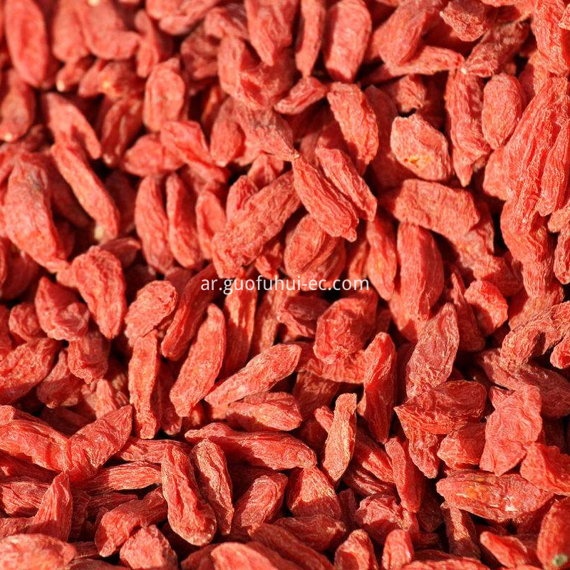 أحمر غوجي التوت Red Goji Berry