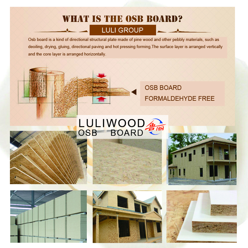 placa luliwood osb de sally 29 luliwood osb board of sally 29