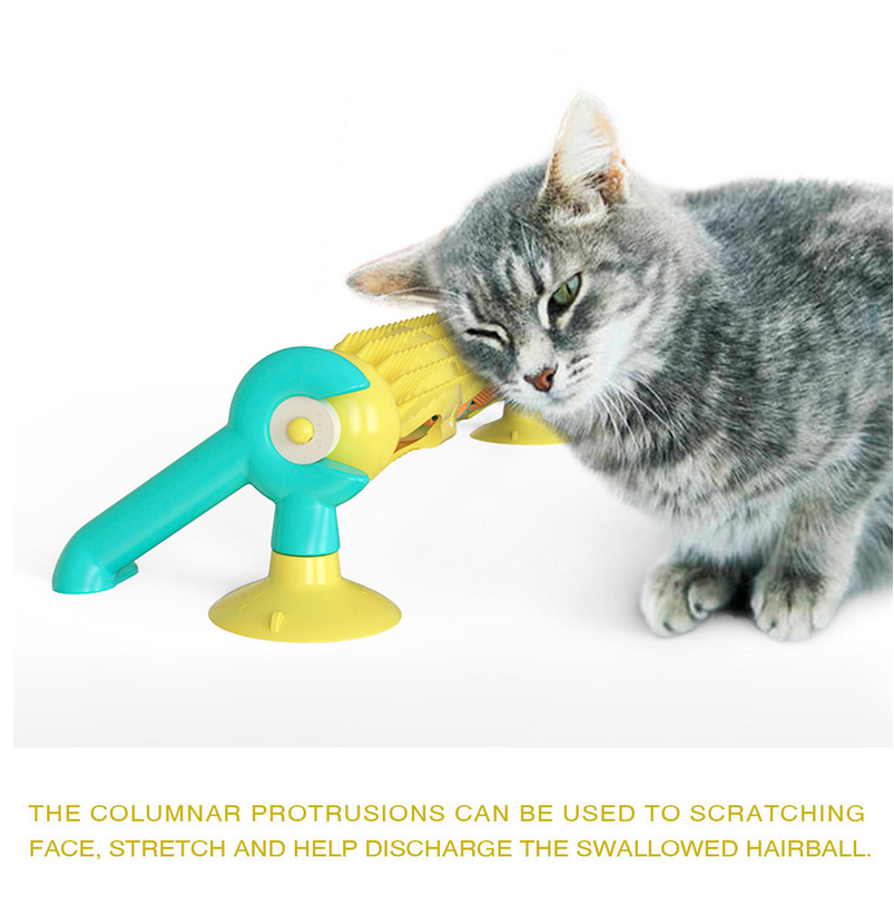 Cat Toy Amazon Cat Toy Amazon