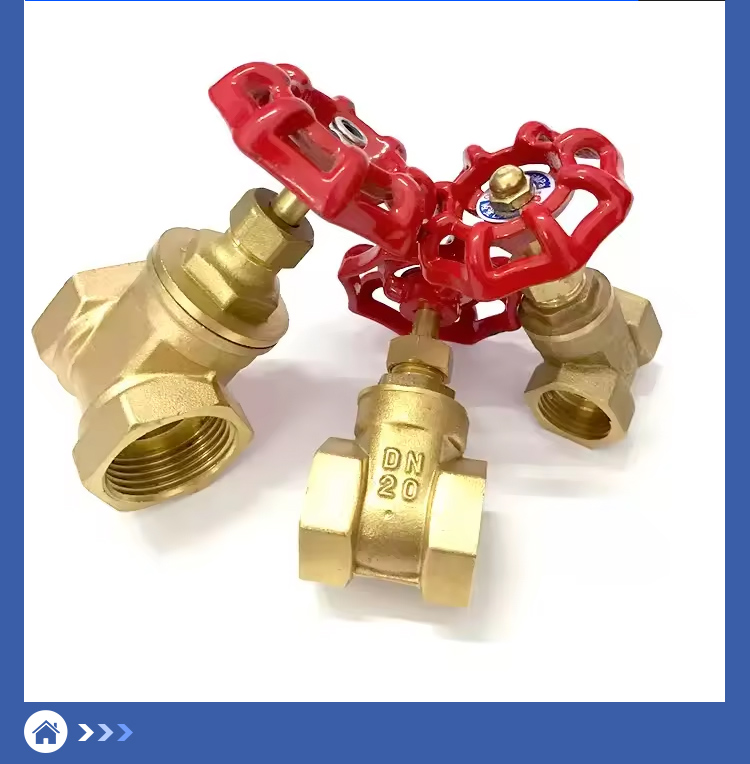 Engineering Specific Gate Valve Engineering Specific Gate Valve