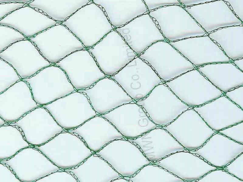 بيرد نيت BIRD NET