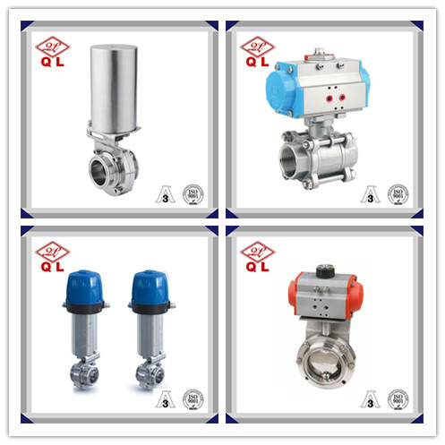 Pneumatic Valve Actuator